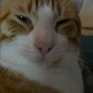 Meet your Posher, Brayden